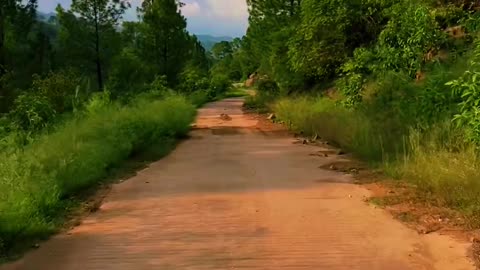 Nature beauty