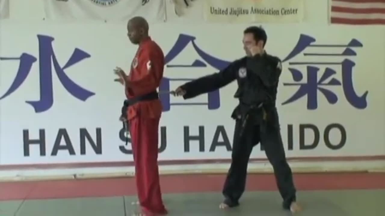 Han Su Hapkido