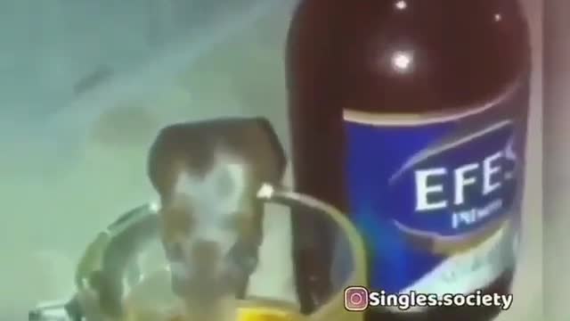 Funny Video 😂😂 | Watch till end 2021