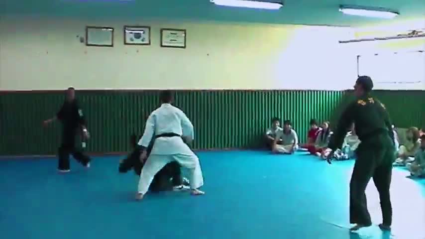 Hapkido