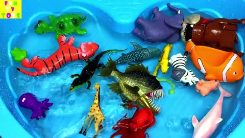 Learn Zoo Wild Animals Names Educational Toys Video For Children