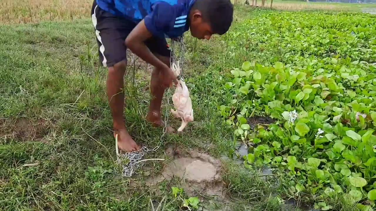 Unbelievable fishing techniques!traditional boy catching Big fish by hook😱