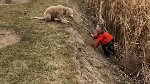 Rumble Funny Baby Playing With His Dog in very Amazing way