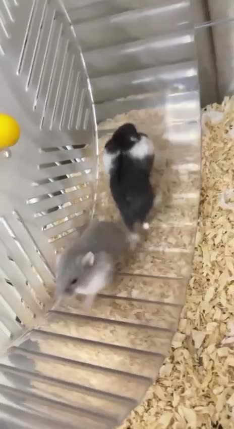 A bit more team work and coordination is needed