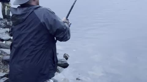 32 pound striped Bass cape cod canal June 2021