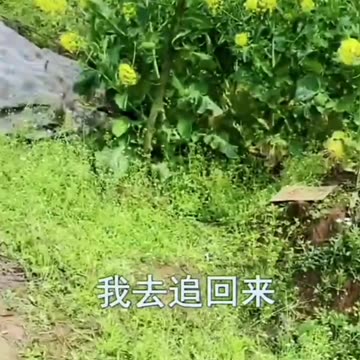 😀😀Champa and Raju Fanny Vedio 😀😀