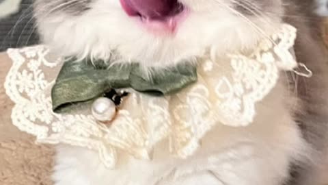 HEY BOY LET ME SEE
