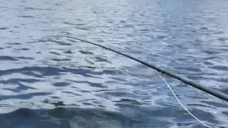 Patriot Fishing part 6-4