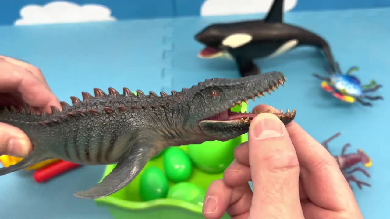 Green Sea Animal Toys Egg Surprises