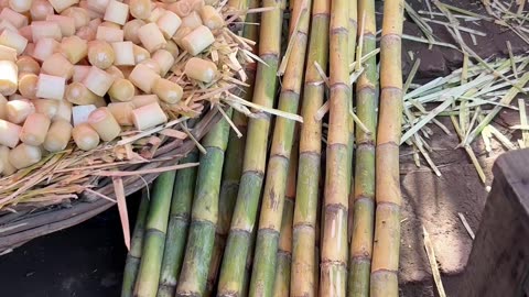 Satisfying Ninja Fruit Cutting ASMR