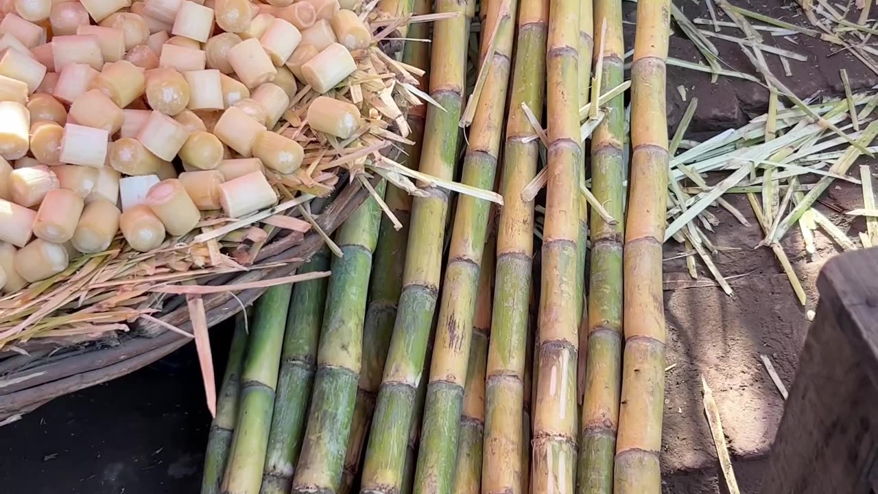 Satisfying Ninja Fruit Cutting ASMR