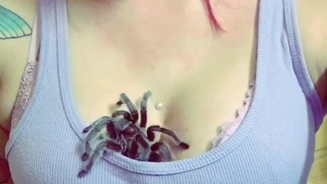 Eight Legged Surprise