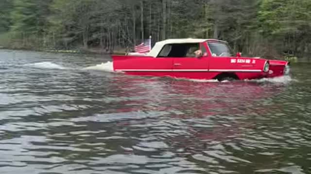 This Dog Was Driving A Car Alone In Sea