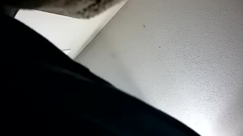 Cheat cam