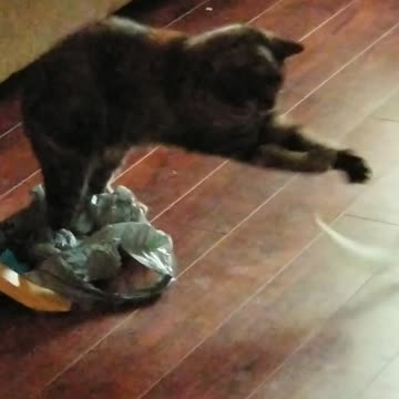 Copper Shoots for the Moon