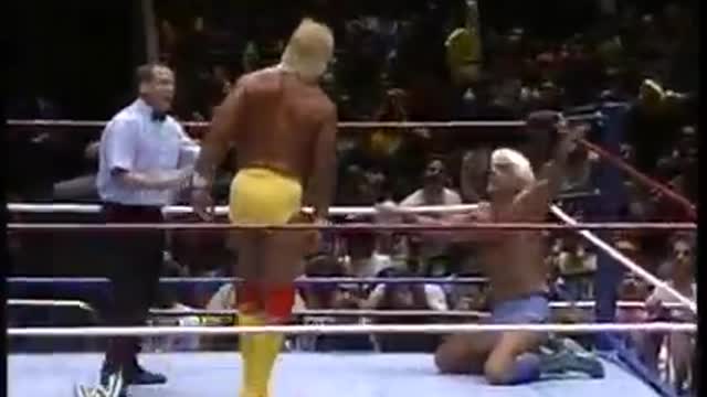 Ric Flair vs Hulk Hogan 1991