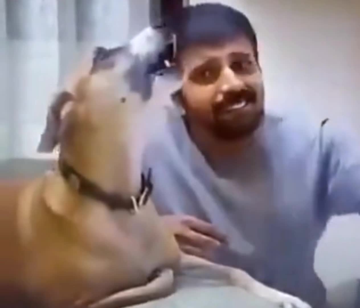 The Dog Who Wants To Sing Too