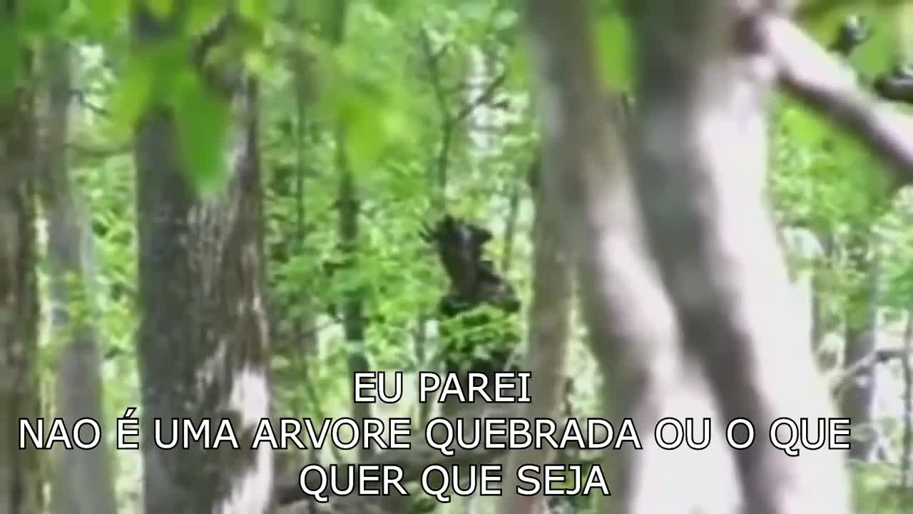 VIDEOS DE TERROR REAIS QUE VÃO FAZER VOCÊ ACREDITAR EM DEMÔNIOS NÃO ASSISTA SOZINHO