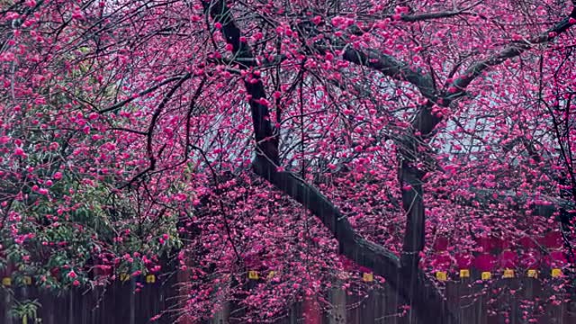 Life is to learn to be strong while being hurt.