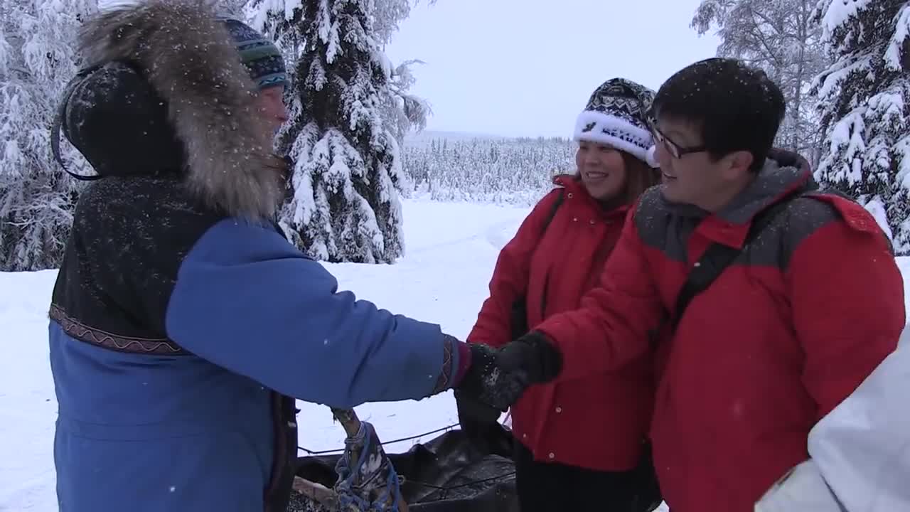 Alaska Winter Sled Dog Tours (behind-the-scenes) | Paws for Adventure in Fairbanks, Alaska