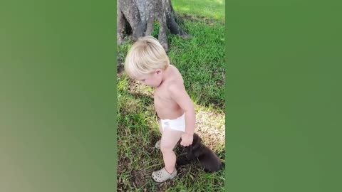 Funny baby and animal video 2019