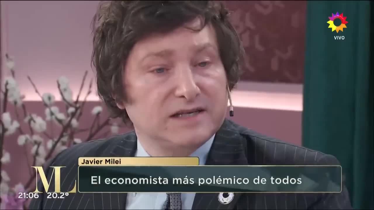 Los Políticos son unos Ladrones...