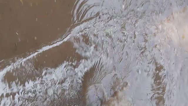 This Ukraine, after rain