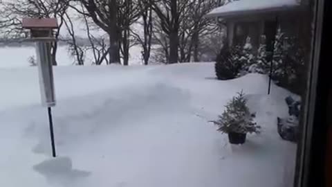 electric snow blower