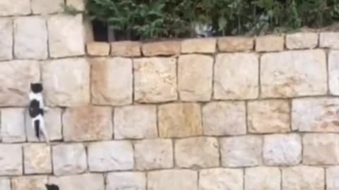 Life is a hard work 💪