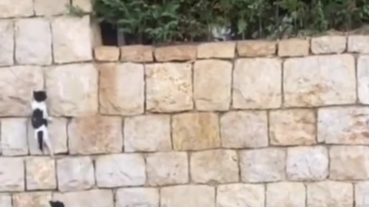 Life is a hard work 💪