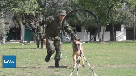 Sección de Perros de la Fuerza Aérea Argentina