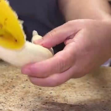 PLATANOS FINANCIADOS POR BILL GATES EN LA FINCA ECO