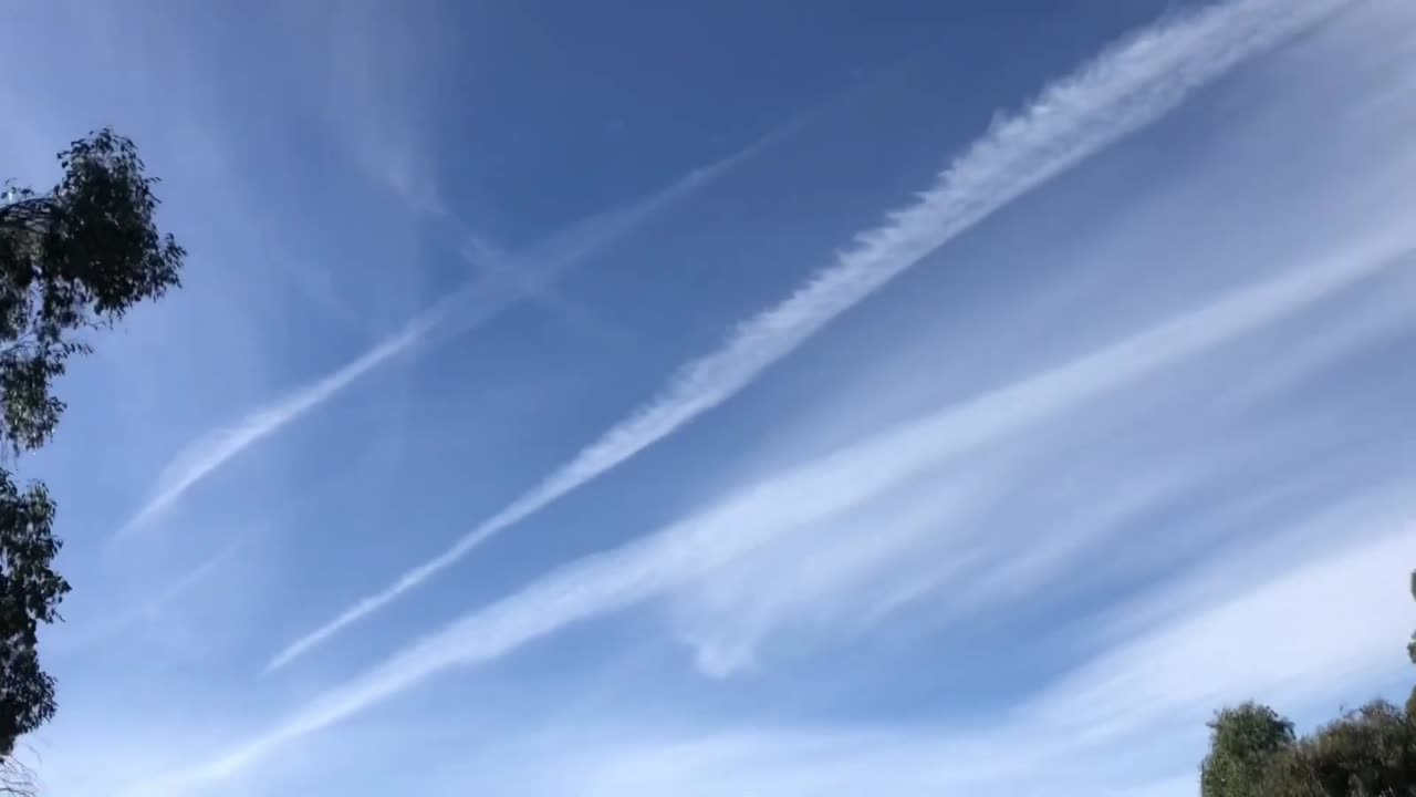 Chemtrails - Smugi chemiczne #531