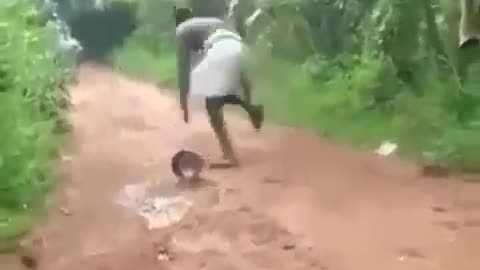 Funny video black Man see the snake 🐍😀😀😁😁