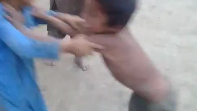 WWE children funny fight