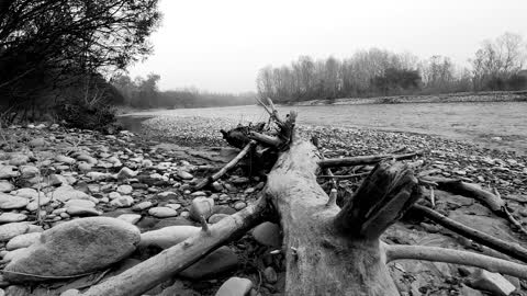 An introduction of the beauty in black and white videos