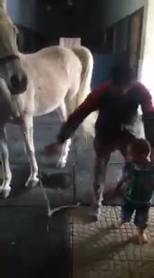 The youngest Knight in the world 2