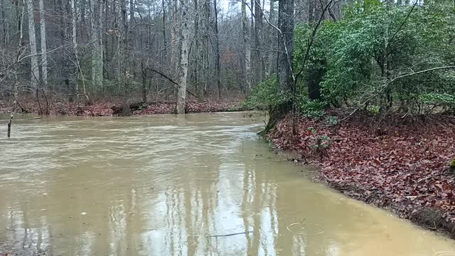 Moccasin Creek - Spring City Tennessee