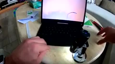 Inoculação via PCR