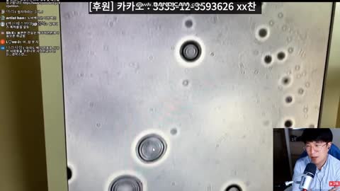 노바백스 안에서 발견된 디스크 모양의 조직