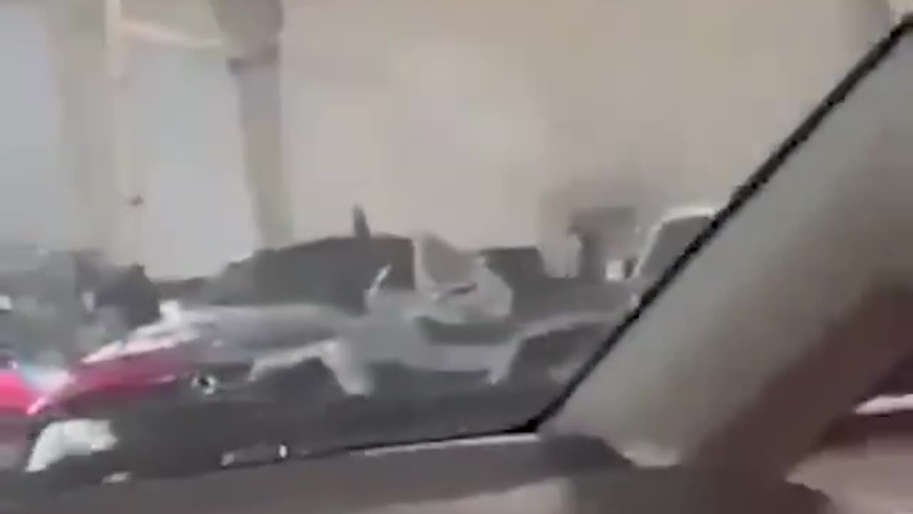 🏎️👀 This is what the garage of Assad looks like.