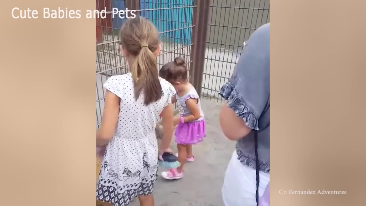 The most caring and loving kids❤️😘 and nice animal❤️😘😍