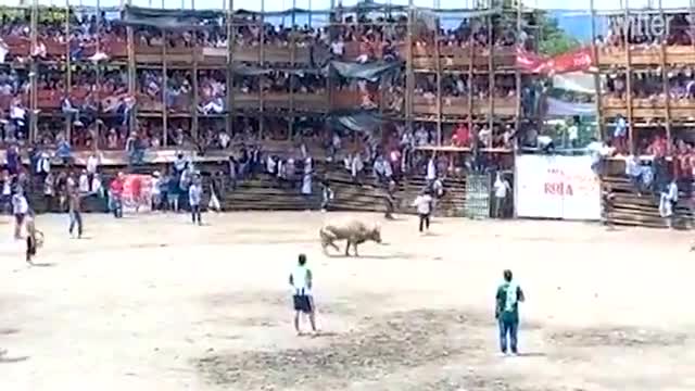 Devastating images show how stadioum of bulls fighn is collapsed