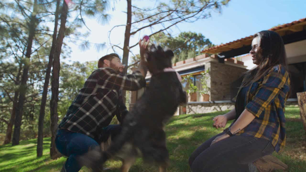 A boy and a girl are playing with their dog