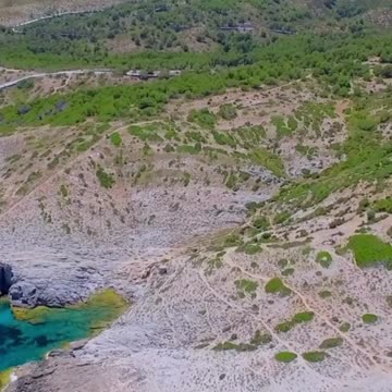 Deep Breathing Exercises for Instant Stress Relief 🌬️ #meditation #calm #shorts