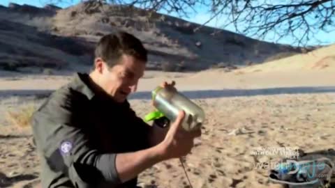 Top 10 Insane Bear Grylls Moments