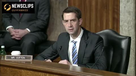 Senator Tom Cotton Questions On Current Stalemate Between Ukraine And Russia War