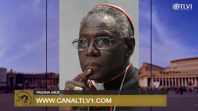 El Compromiso del Laico N°27