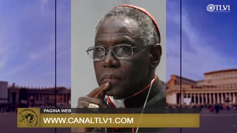 El Compromiso del Laico N°27