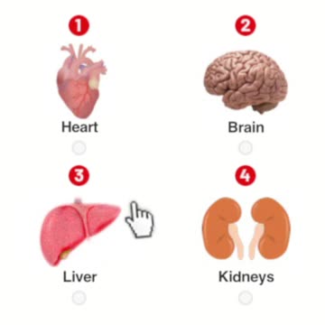 Are you struggling for fat loss try this once (link in description)